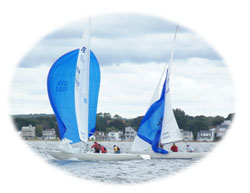 Sailboats with spinnakers up